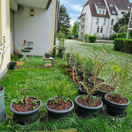L'Univers Au Blanc. Strasbourg Eksteriør billede
