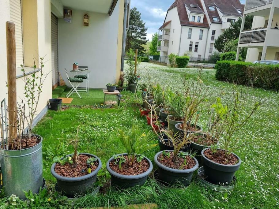 L'Univers Au Blanc. Strasbourg Eksteriør billede